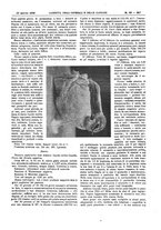 giornale/UM10002936/1930/V.1/00000341