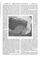 giornale/UM10002936/1931/unico/00001403