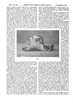giornale/UM10002936/1931/unico/00001404