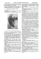 giornale/UM10002936/1932/V.53.1/00000774