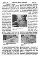 giornale/UM10002936/1933/V.54.2/00000117