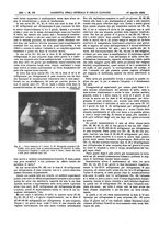 giornale/UM10002936/1934/V.55.1/00000518