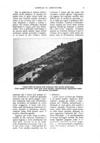giornale/UM10003065/1922-1923/unico/00000023