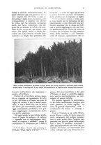 giornale/UM10003065/1922-1923/unico/00000025