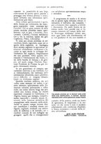 giornale/UM10003065/1922-1923/unico/00000029