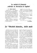 giornale/UM10003065/1922-1923/unico/00000030