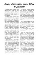 giornale/UM10003065/1922-1923/unico/00000081
