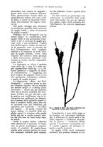 giornale/UM10003065/1922-1923/unico/00000085