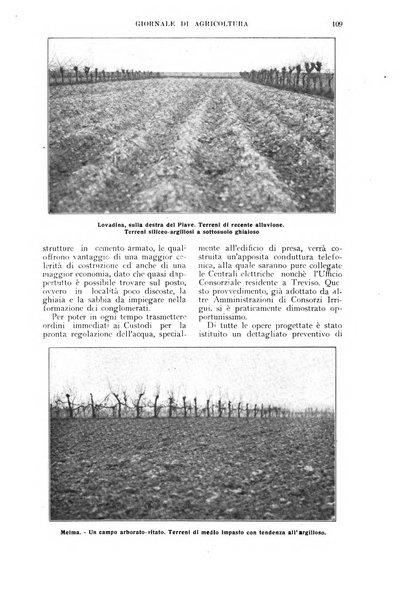 L'Italia agricola