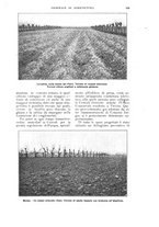 giornale/UM10003065/1922-1923/unico/00000169