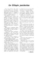 giornale/UM10003065/1922-1923/unico/00000235