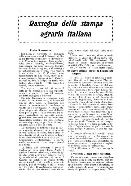 L'Italia agricola