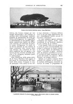 giornale/UM10003065/1922-1923/unico/00000273