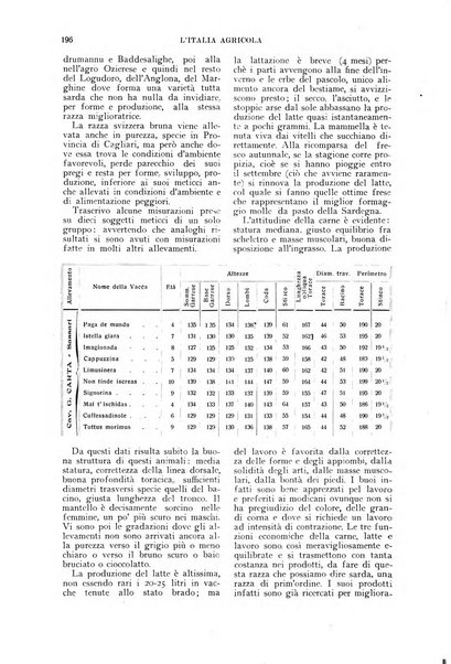 L'Italia agricola