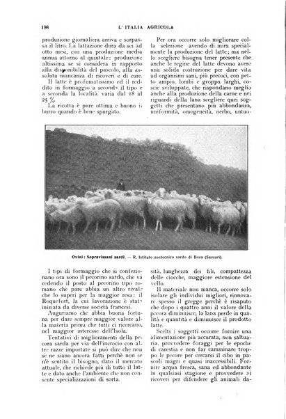 L'Italia agricola