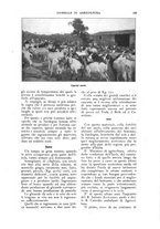 giornale/UM10003065/1922-1923/unico/00000293