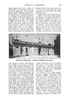 giornale/UM10003065/1922-1923/unico/00000343