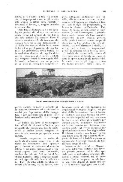 L'Italia agricola