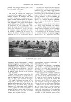 giornale/UM10003065/1922-1923/unico/00000429