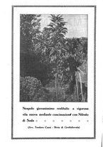 giornale/UM10003065/1922-1923/unico/00000478