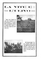 giornale/UM10003065/1922-1923/unico/00000479