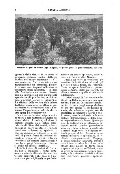 L'Italia agricola