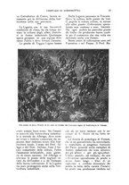 giornale/UM10003065/1922-1923/unico/00000495
