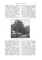 giornale/UM10003065/1922-1923/unico/00000505