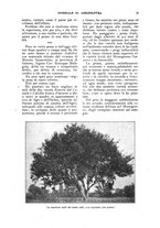 giornale/UM10003065/1922-1923/unico/00000509