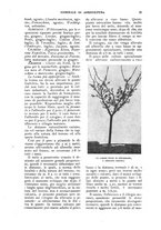 giornale/UM10003065/1922-1923/unico/00000519