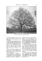 giornale/UM10003065/1922-1923/unico/00000521