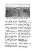 giornale/UM10003065/1922-1923/unico/00000527