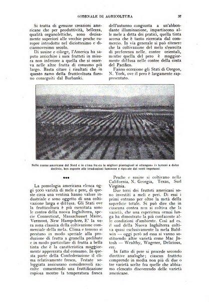 L'Italia agricola