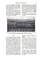 giornale/UM10003065/1922-1923/unico/00000541