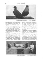giornale/UM10003065/1922-1923/unico/00000570