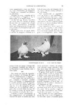 giornale/UM10003065/1922-1923/unico/00000571