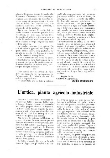 L'Italia agricola