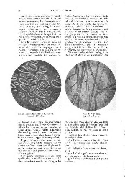 L'Italia agricola