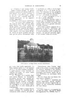 giornale/UM10003065/1922-1923/unico/00000575