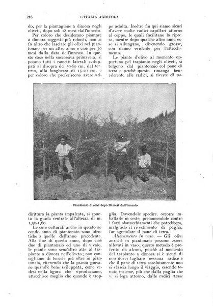 L'Italia agricola