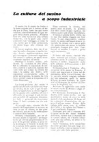 giornale/UM10003065/1922-1923/unico/00000716