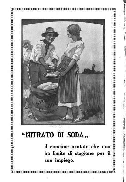 L'Italia agricola