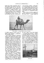 giornale/UM10003065/1924/unico/00000019