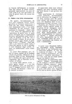 giornale/UM10003065/1924/unico/00000021