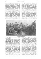 giornale/UM10003065/1924/unico/00000022