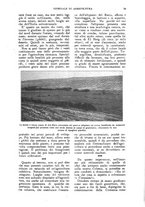 giornale/UM10003065/1924/unico/00000023