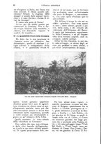 giornale/UM10003065/1924/unico/00000026