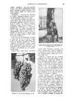 giornale/UM10003065/1924/unico/00000029