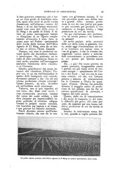 L'Italia agricola