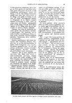 giornale/UM10003065/1924/unico/00000031